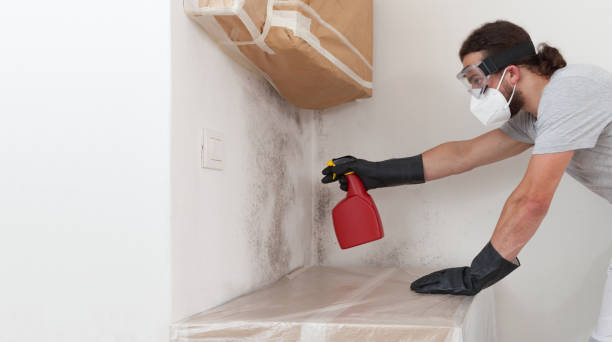 Professional Crawl Space Mold Removal technician working in Kenmore, NY