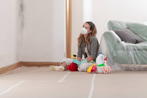 Reliable Crawl Space Mold Removal contractor in Kenmore, NY by WQB Mold Removal